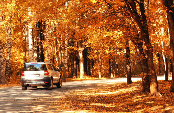 Car care tips - Fall Season image